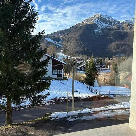 Belvedere In